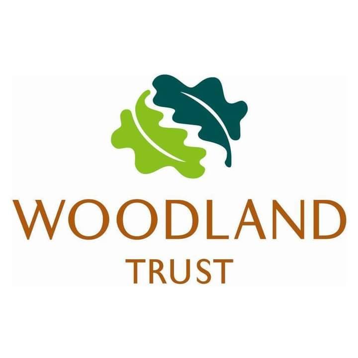 Find @WoodlandTrust at the Eco and vegan wedding fair Sunday 29th September 11-4 at Matfield Village Hall