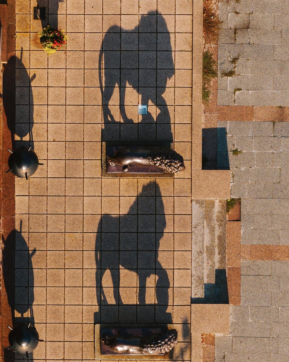 NejauNet's tweet photo. #Kaunas #Lithuania #Lietuva #dronas #Mavic3 #mavic3pro #drone #kaunastic #kaunasaerial #summer2024 #djimavic3pro #vasara2024 #mavic3pro7x #mavic3pro3x #karomiziejus #liutai #kaunoliutai https://t.co/qPi6FvYIkY