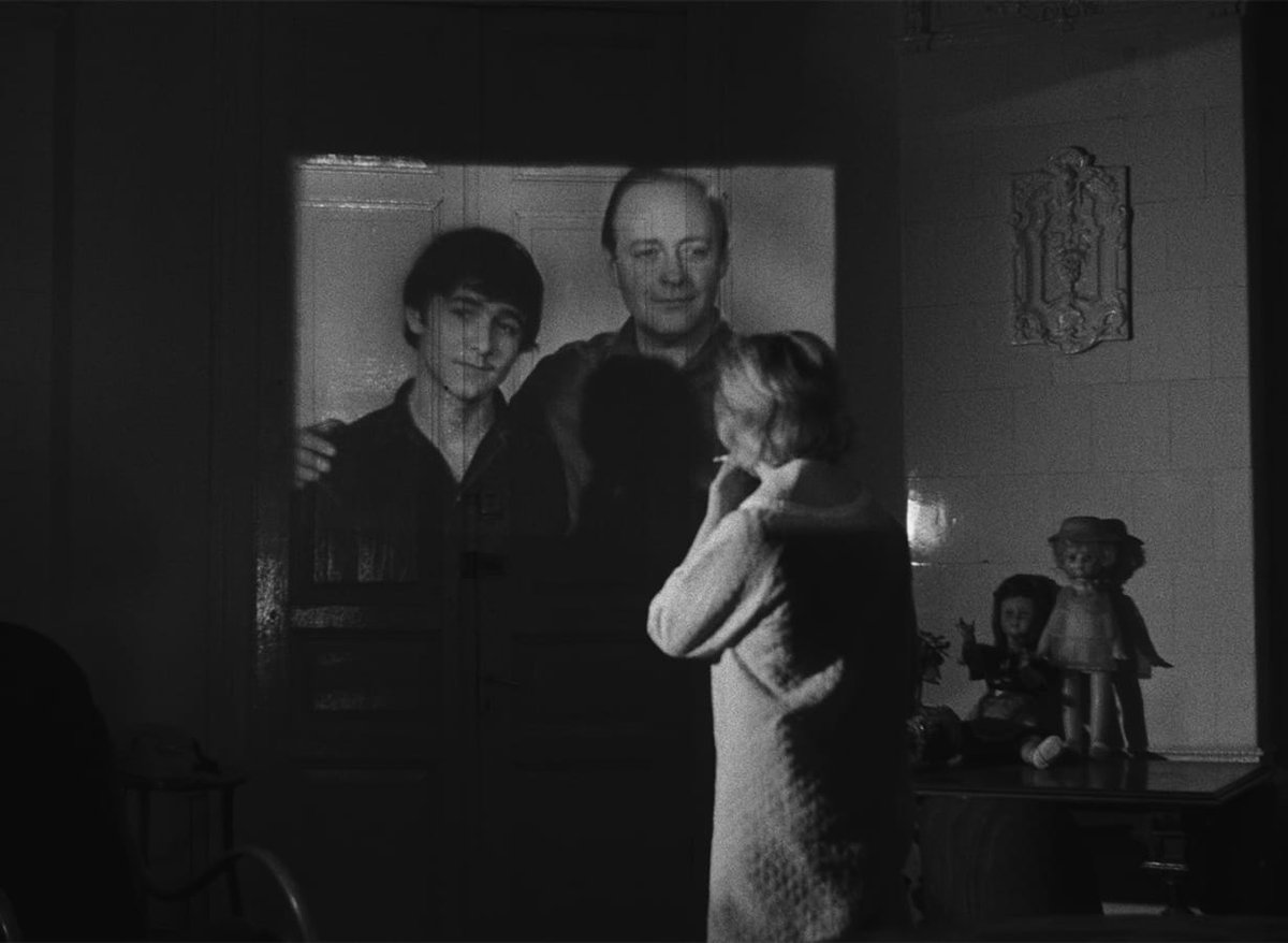 Criterion Collection tweet media