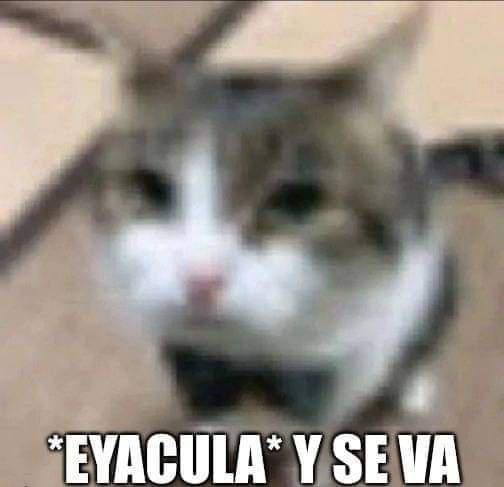 OcaZuZ's tweet photo. @EnsedeCiencia Yo chaketeandome bien macizo por honor al nombre de mi galaxia https://t.co/RAlRHEIFsm