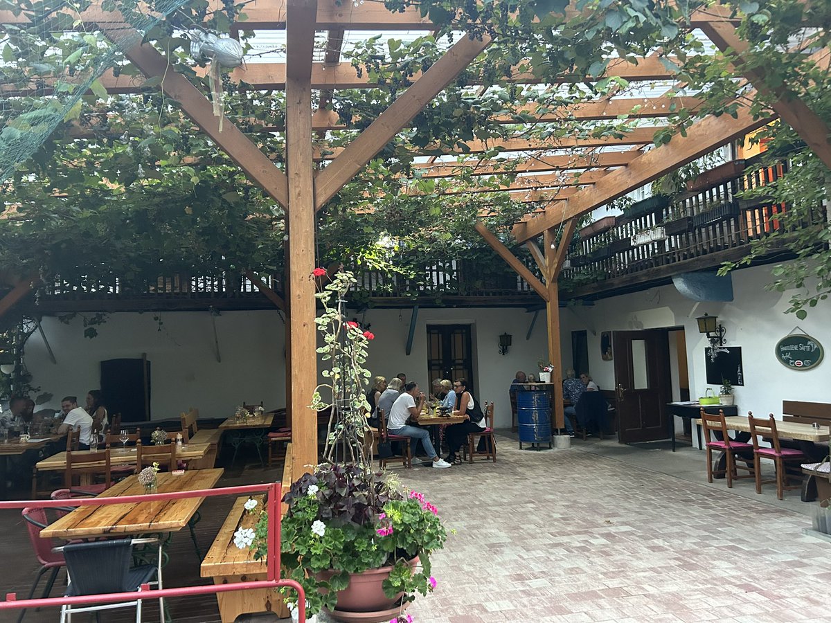 PeterNindler's tweet photo. Ein kleinod in meinem Heimatort. Ein landgasthaus mit phantastischer Küche, mit einem Gastgarten, der seinesgleichen  sucht, und  einem Wirt, der einen Zeit vermittelt und seine Gäste entschleunigt…. https://t.co/Rm6F6OHihO