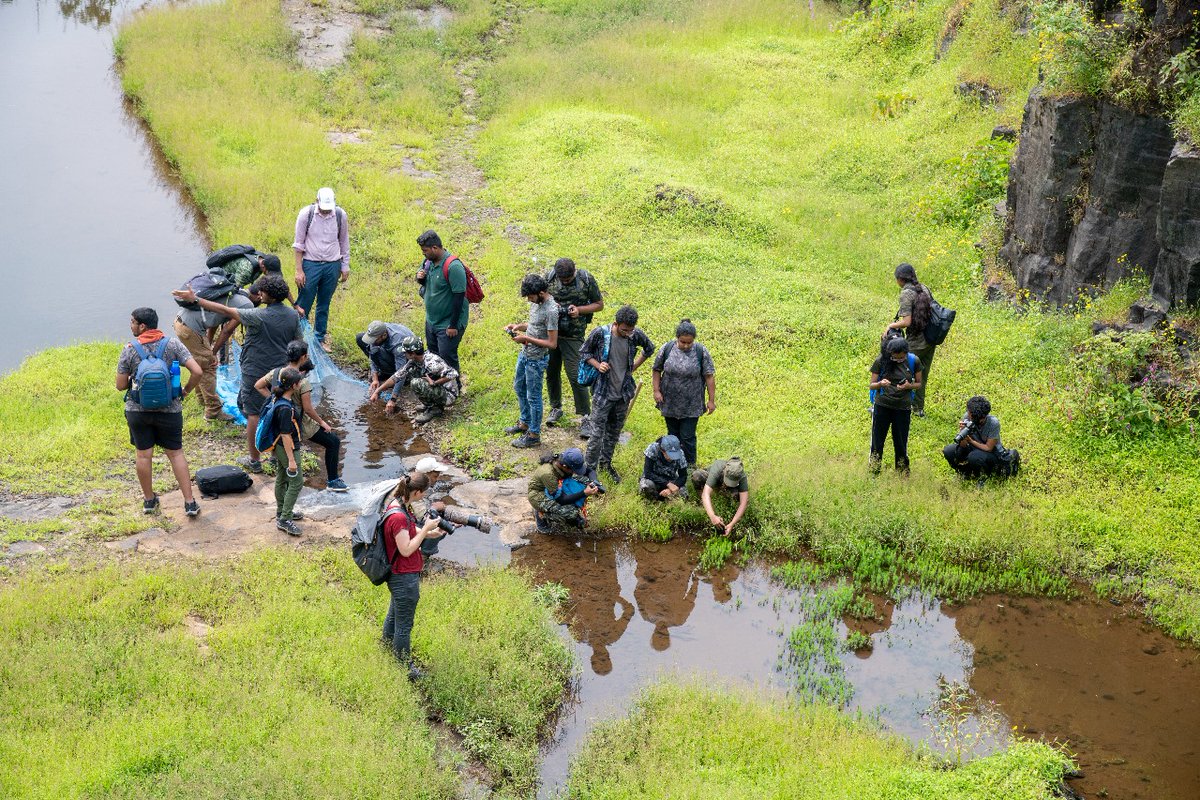 bioacousticist's tweet image. Emotional goodbye to my first batch of students! We met just a few days ago, and now they've graduated! Their heartfelt gifts and a touching letter left me speechless. So proud of these young stars! #ProudMentor #FirstBatch #academicchatters