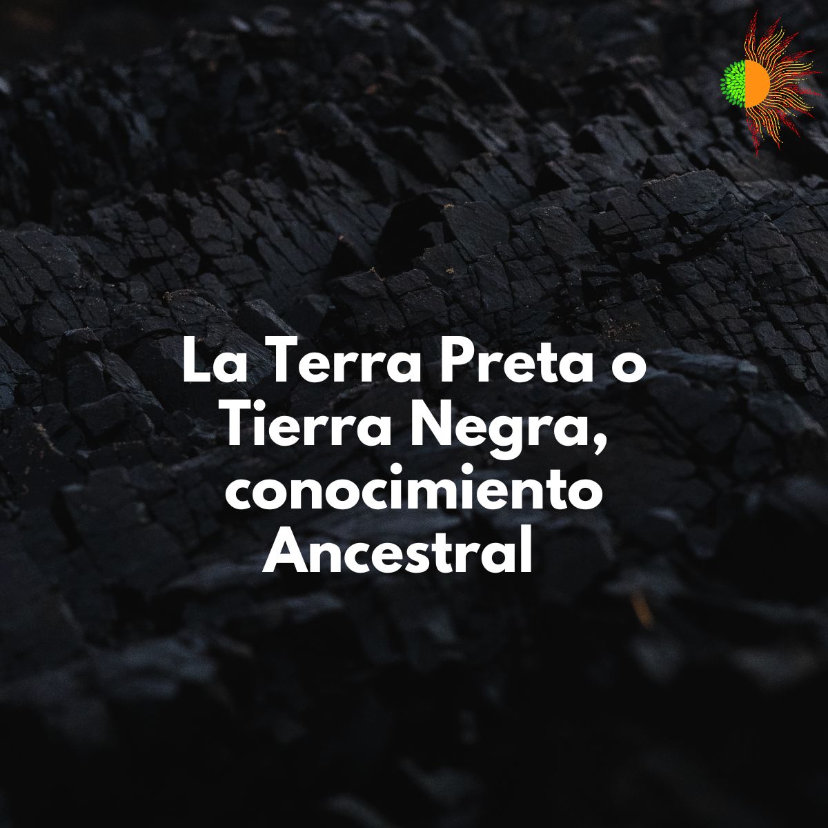 Biotermicainn's tweet photo. ¿Sabias que, la palabra Terra Preta, se traduce como "tierra negra" en portugués? Este suelo es el resultado de un conocimiento ancestral de los indígenas de la Amazonía, en Biotermica somos productores de #Biochar un producto inspirado en esta antigua práctica. https://t.co/85M3wDtmDd