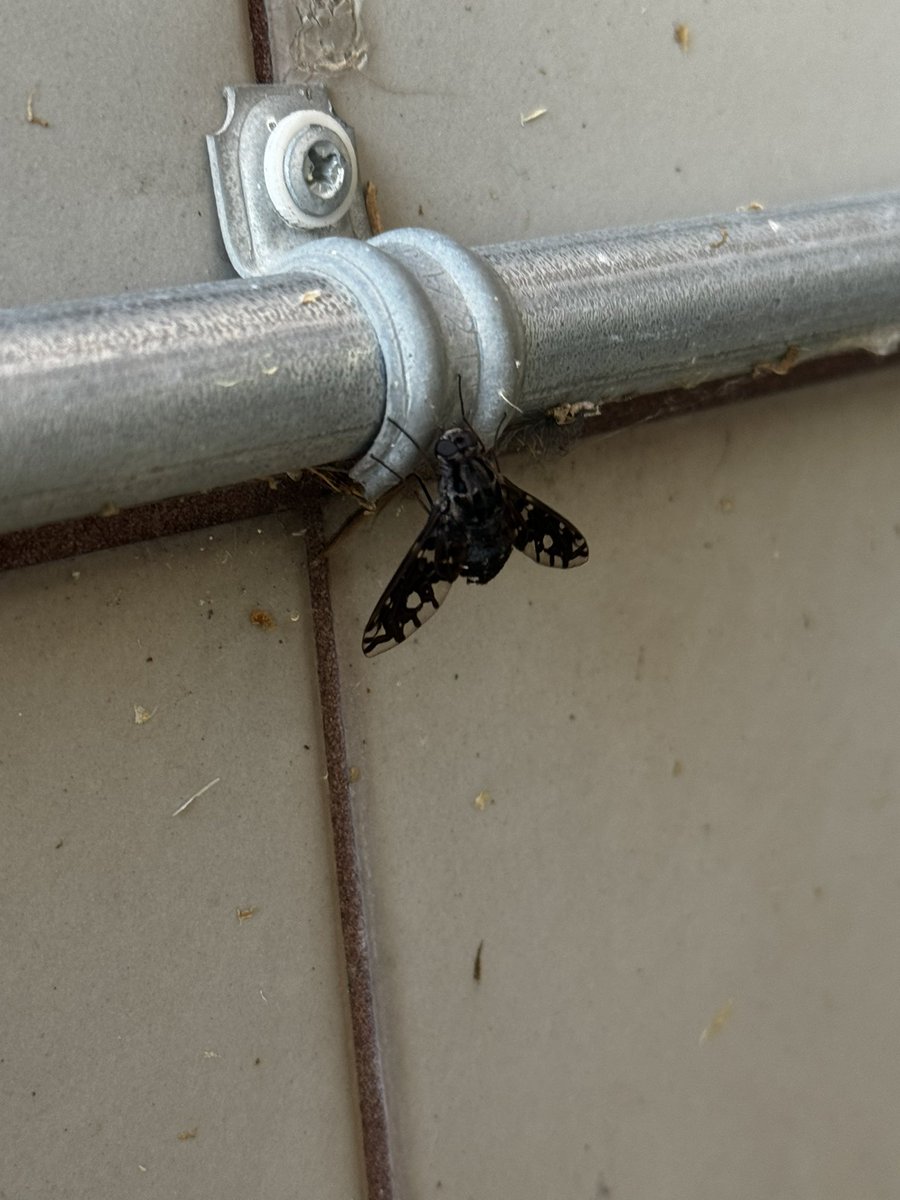 I guess getting locked out of my building has its perks