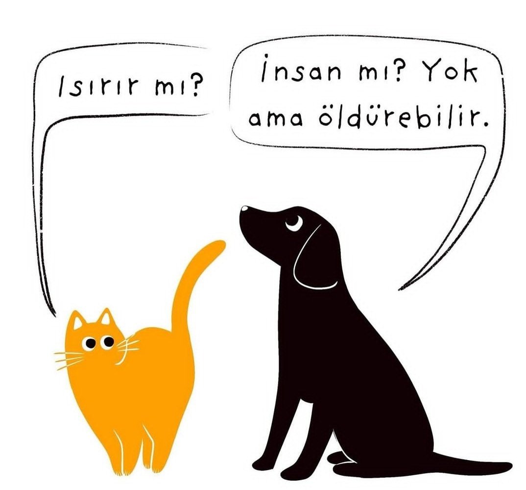 Bu yaptığınız #YasaDeğilCinayet dedik ama sesimizi duyan olmadı !

#Turkiyedekatliamvar