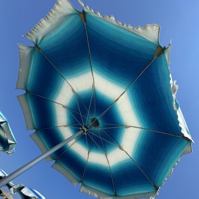 IulaP's tweet photo. #NewProfilePic https://t.co/EQdMa0VpX1