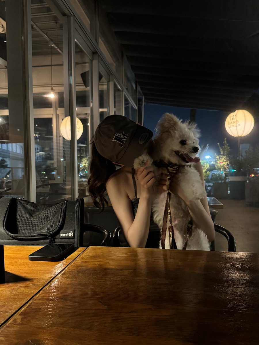 にこまる (@nicom1123) / Posts / X