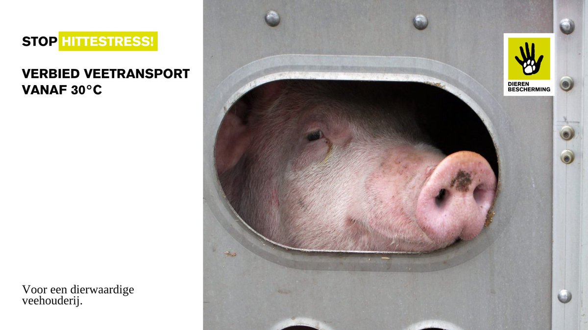 Dierenbescherming tweet media