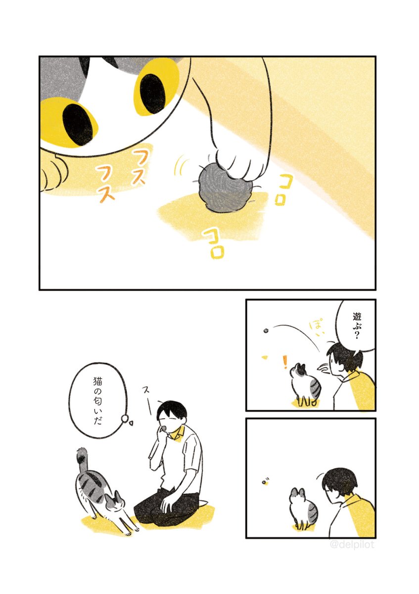 夏じたく猫 