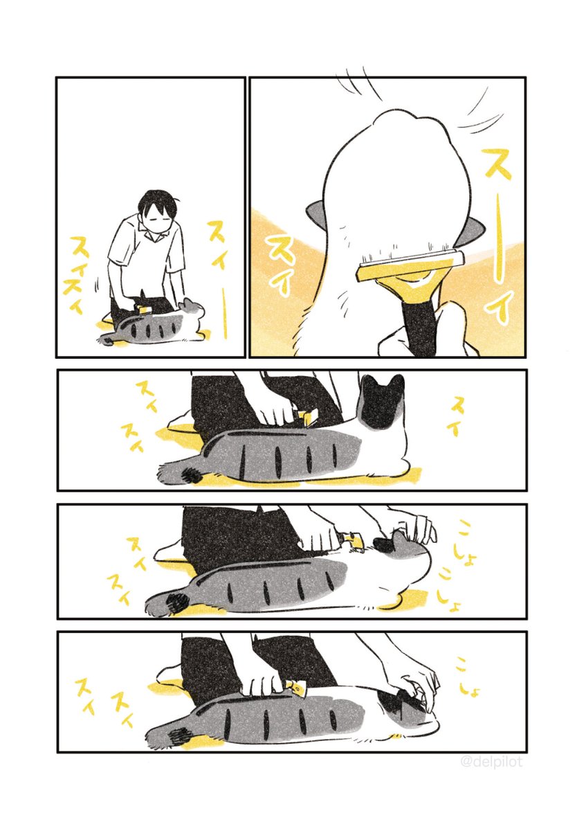 夏じたく猫 
