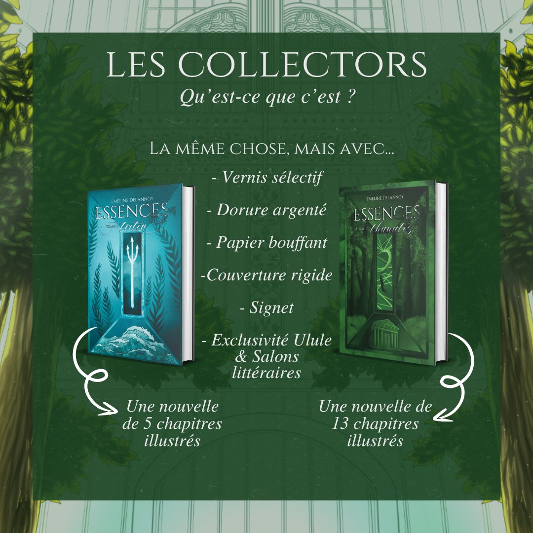 Démé - Nova 🐉🍉 tweet media