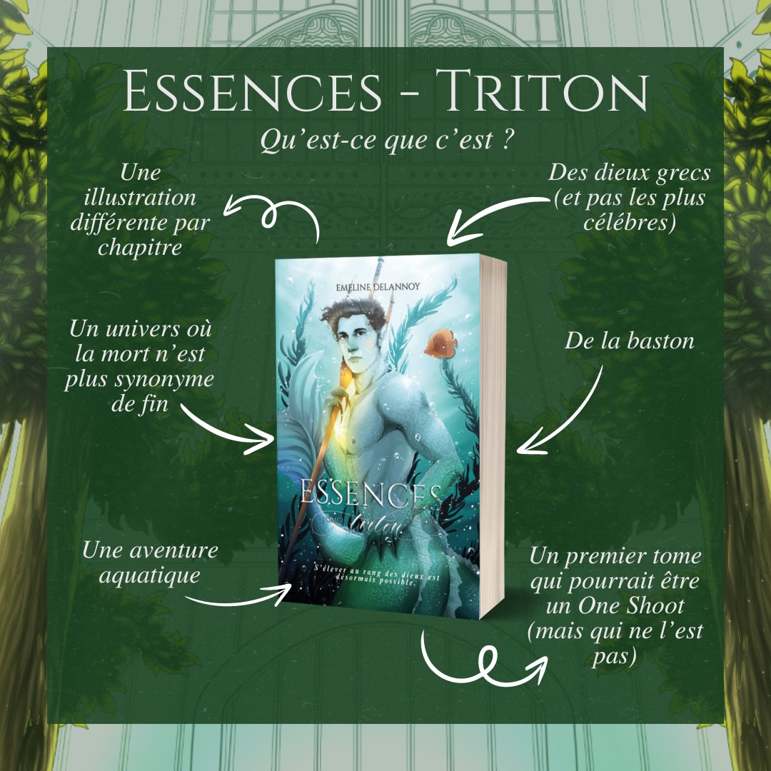 Démé - Nova 🐉🍉 tweet media