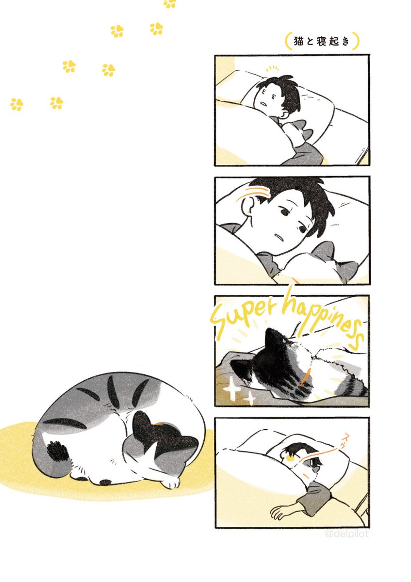 猫と寝起き 