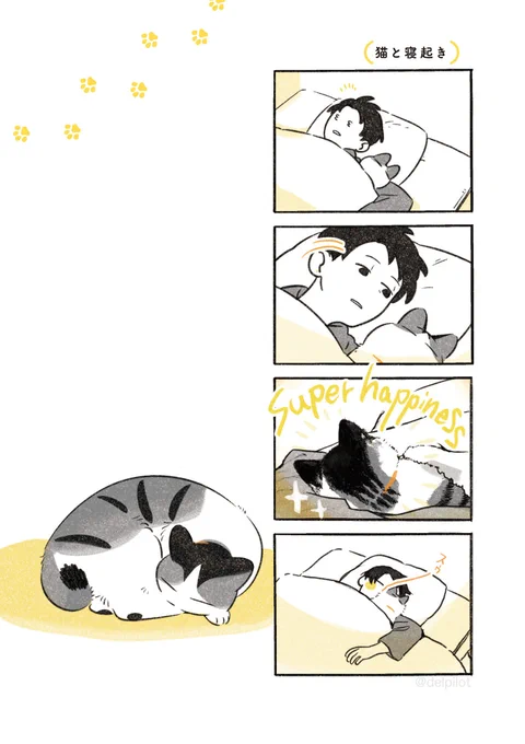 猫と寝起き 