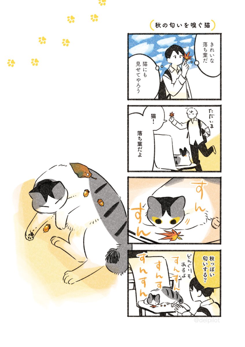 猫と寝起き 