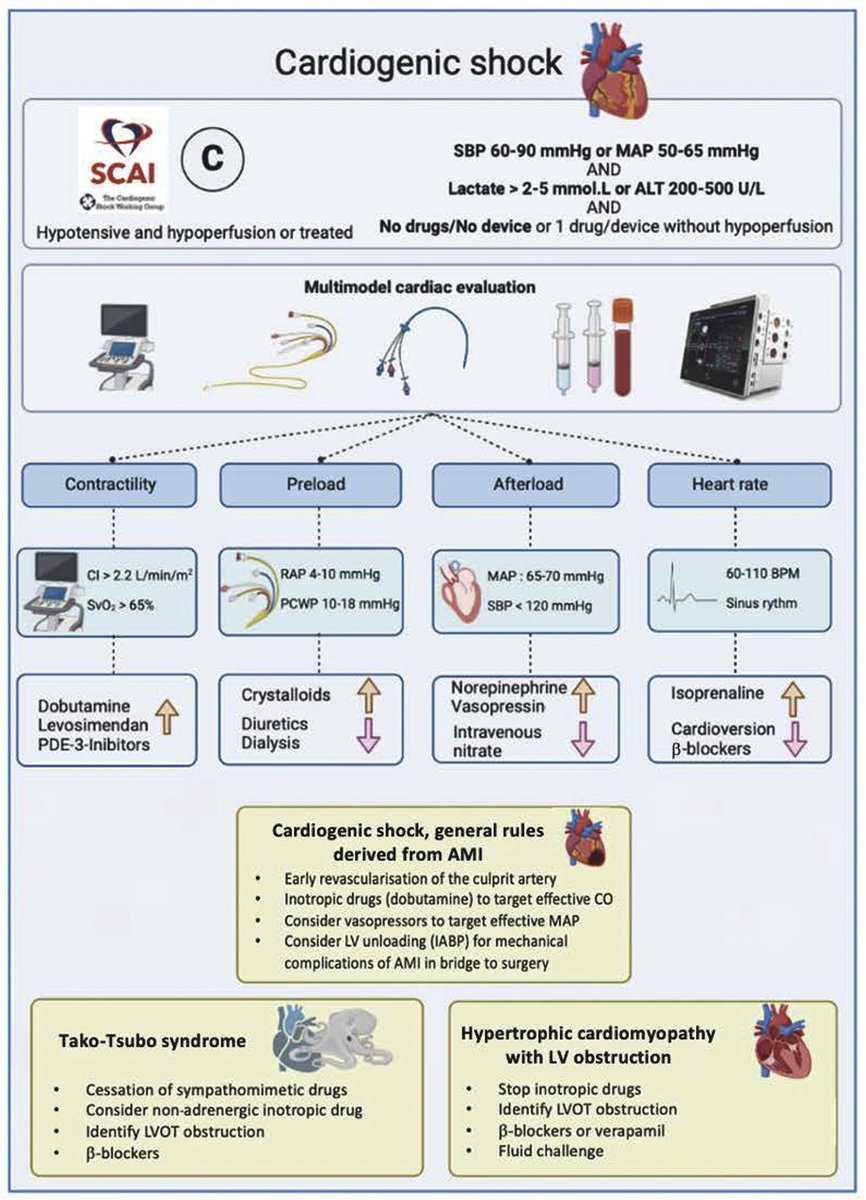 IM_Crit_'s tweet image. Cardiogenic shock reminder - A management approach: