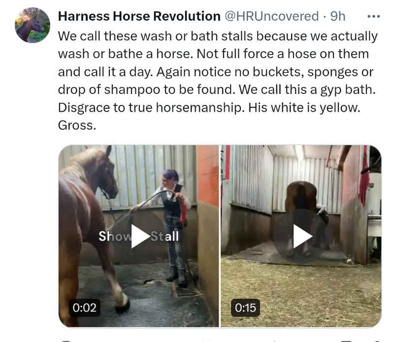 LMAO This 🤡 thinks the first 2 seconds of hosing off a horse to bathe them means shampoo/etc isn't used! Probably still feeling guilty because he admitted to over-shampooing horses himself! 😂 What a POS, loser.