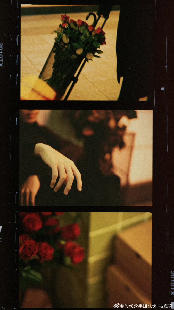 小狗跟主人过七夕咯~