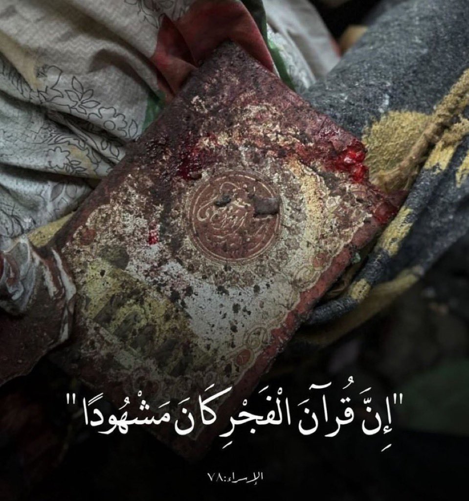 #مكتب_السيد_السيستاني إننا ندعو العالم -مرة أخرى- للوقوف في وجه هذا التوحش الفظيع ومنع تمادي قوات الاحتلال عن تنفيذ مخططاتها لإلحاق مزيد من الأذى بالشعب الفلسطيني المظلوم
 #مذبحة_الفجر