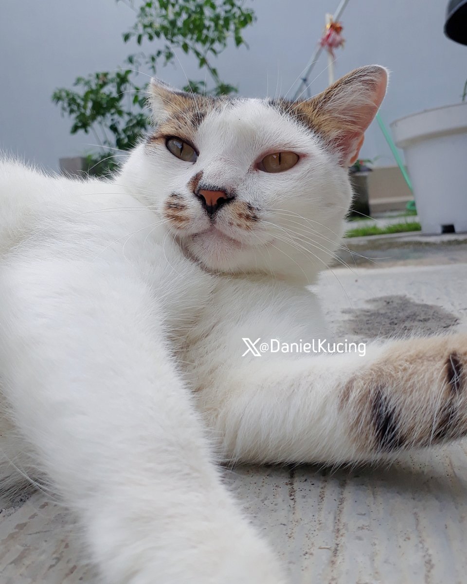 I hope you enjoy your weekend, my friend 🐾 just like me 😺