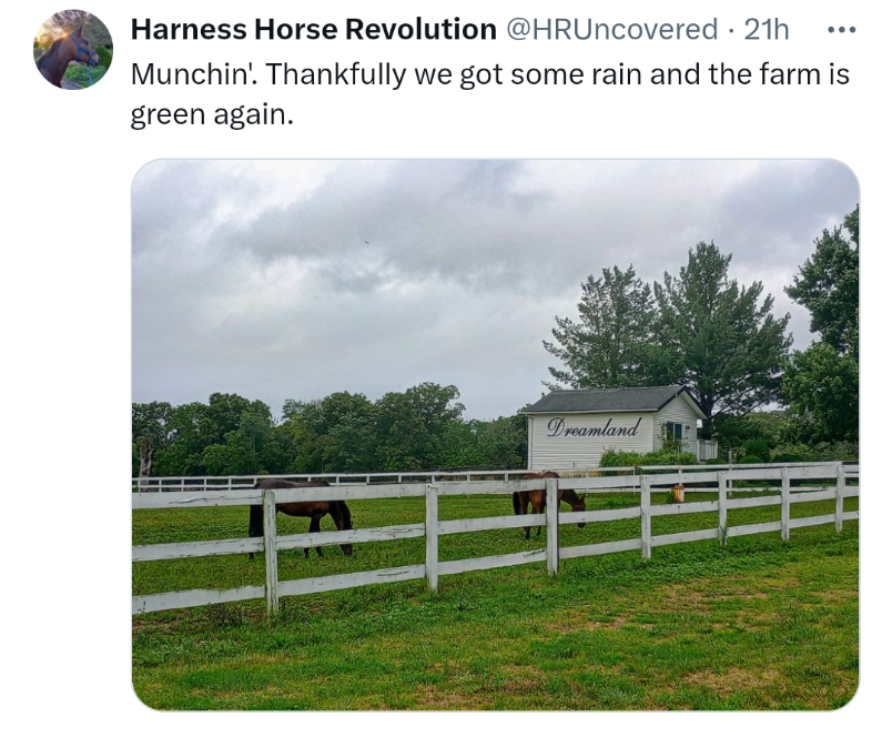Wow, this POS 🤡 admits he lets horses starve when there's a drought! What kind of groundskeeper doesn't know how to set up a sprinkler for the grass?!