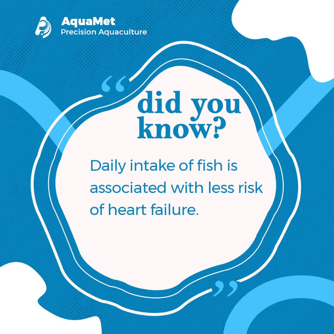 aquamet_tech's tweet photo. Eating fish is generally associated with a reduced risk of heart failure. Fish, are rich in omega-3 fatty acids. These healthy fats have been shown to have numerous cardiovascular benefits, including reducing inflammation and lowering the risk of heart disease. https://t.co/8W2KkqmFEs