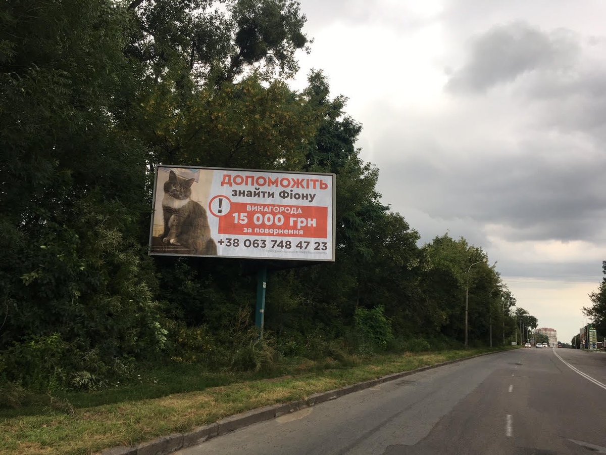 PasichnykOlga's tweet image. Я щиро вдячна за ініціативу і допомогу чудовій @Natanelaaa 
Без Вас це не було б можливим ❤️
Я дивлюсь на це і плачу 😭