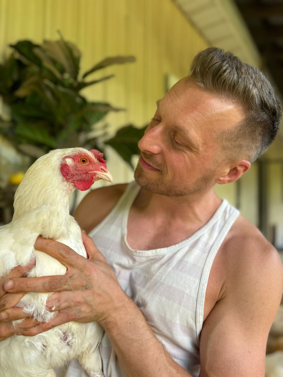 I held this rescued #chicken at <a href="/RosiesFS/">Rosie’s Farm Sanctuary</a> and she brought me so much joy. 🧡

If every person who eats chicken saw chickens up close like this, there'd be a whole lot more people not putting them on their plates. 💯