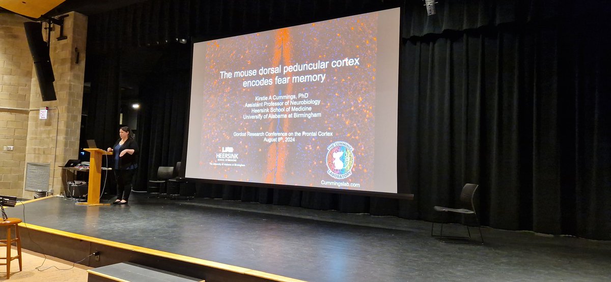 Anna Beyeler 🇺🇦 tweet media