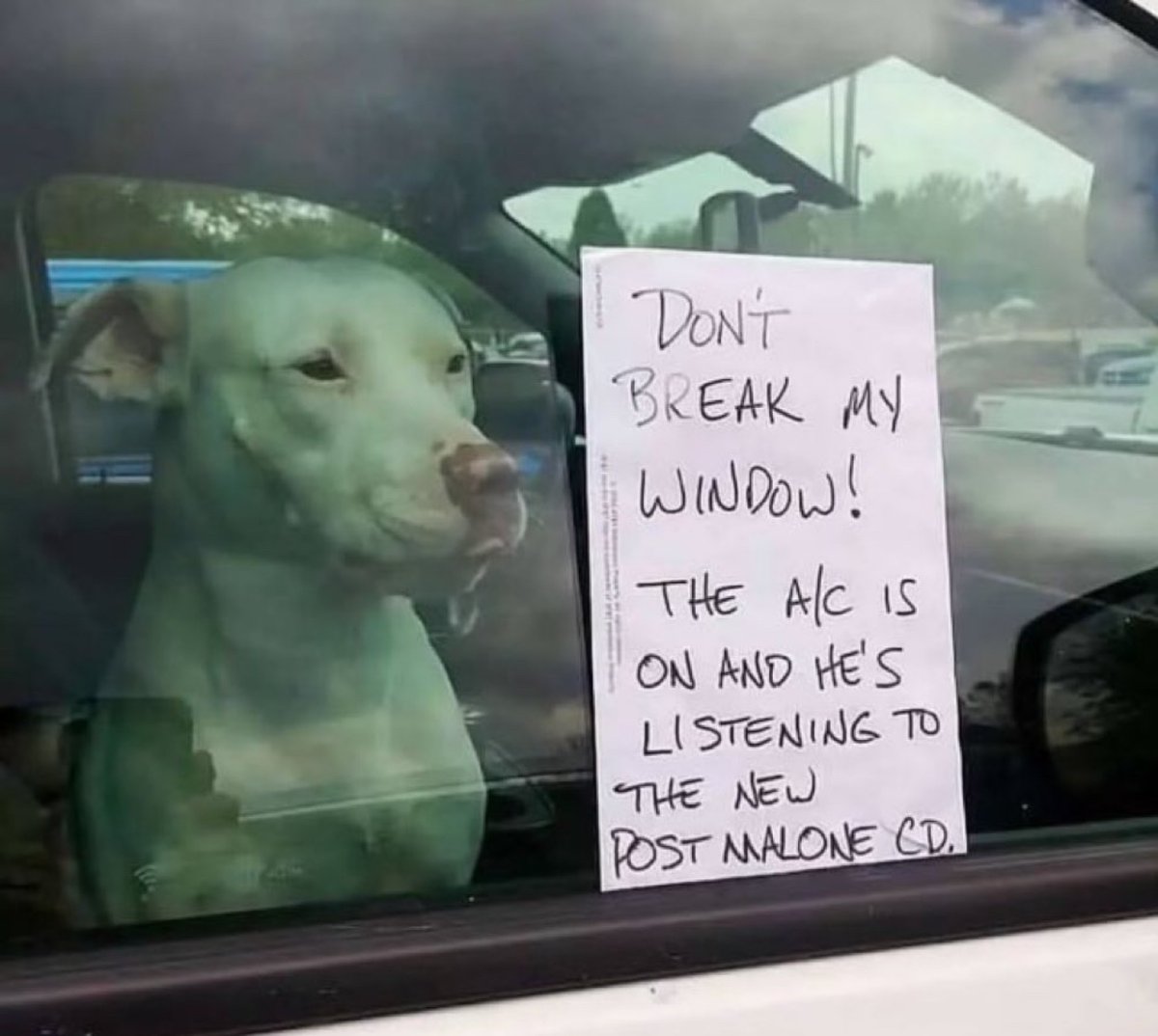 Out of Context Human Race tweet media