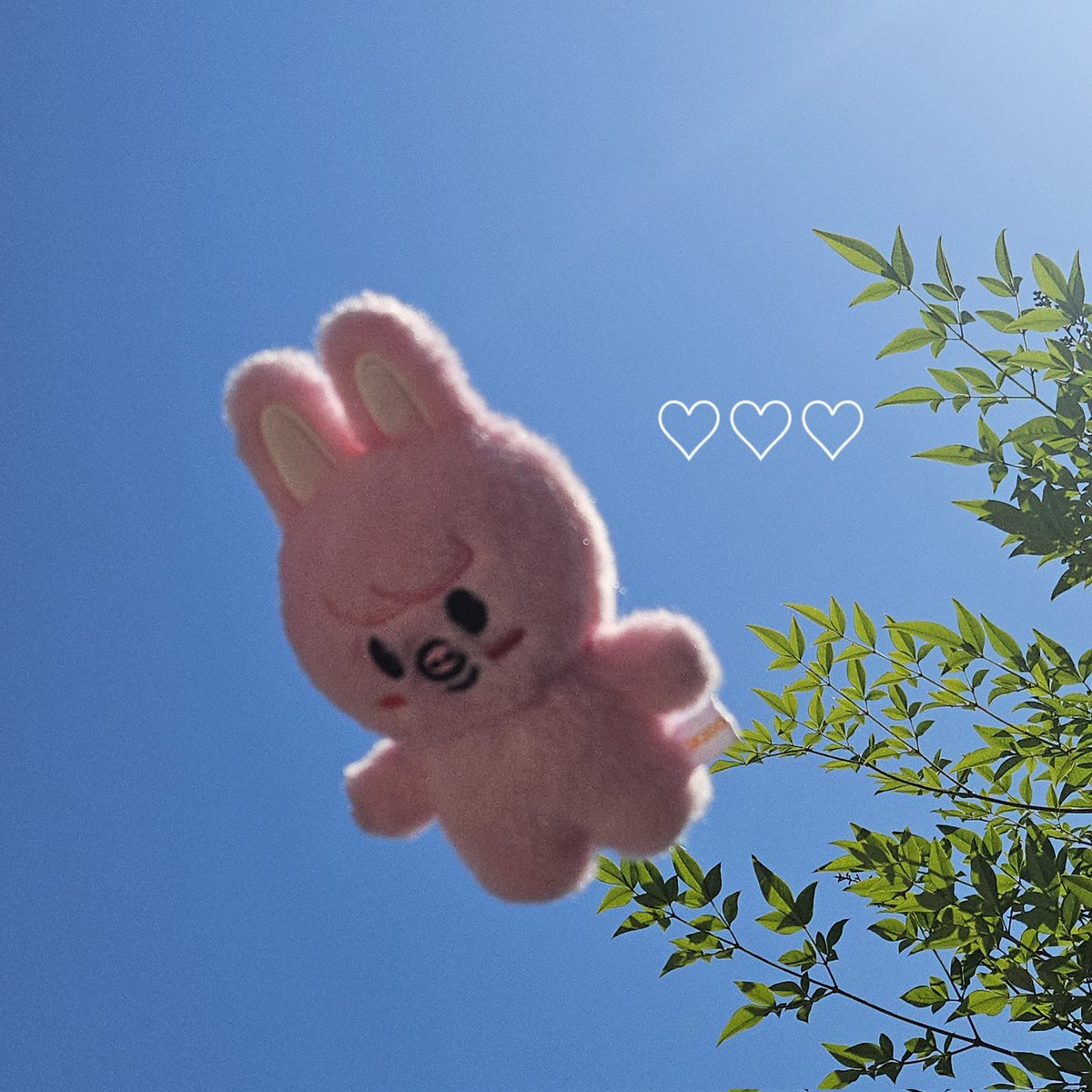 nekosuki9988's tweet photo. チャンビン、せんちゅ～！
今年も世界で1番チャンビンが大好きっ♫
アイドルになってくれてありがとう、誰よりも幸せになってね！！
みんなから愛されて幸せな1年間になりますように♡♡♡

#HappyChangbinDay
#오늘은_돼끼왕자_탄신일
#창빈 #Changbin
#오늘_창빈생일_다다rr랐지 https://t.co/BPqbaceQ10
