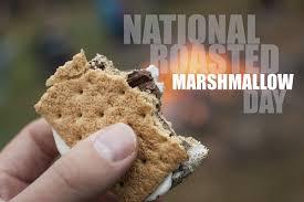 Happy National Smores Day!