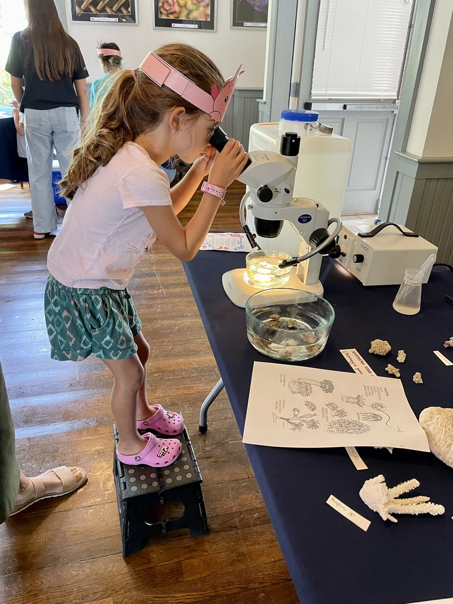 Loretta (@roberson_lo) on Twitter photo A budding coral biologist <a href="/MBLScience/">Marine Biological Laboratory (MBL)</a> #WoodsHoleScienceStroll Come join us! A budding coral biologist <a href="/MBLScience/">Marine Biological Laboratory (MBL)</a> #WoodsHoleScienceStroll Come join us!