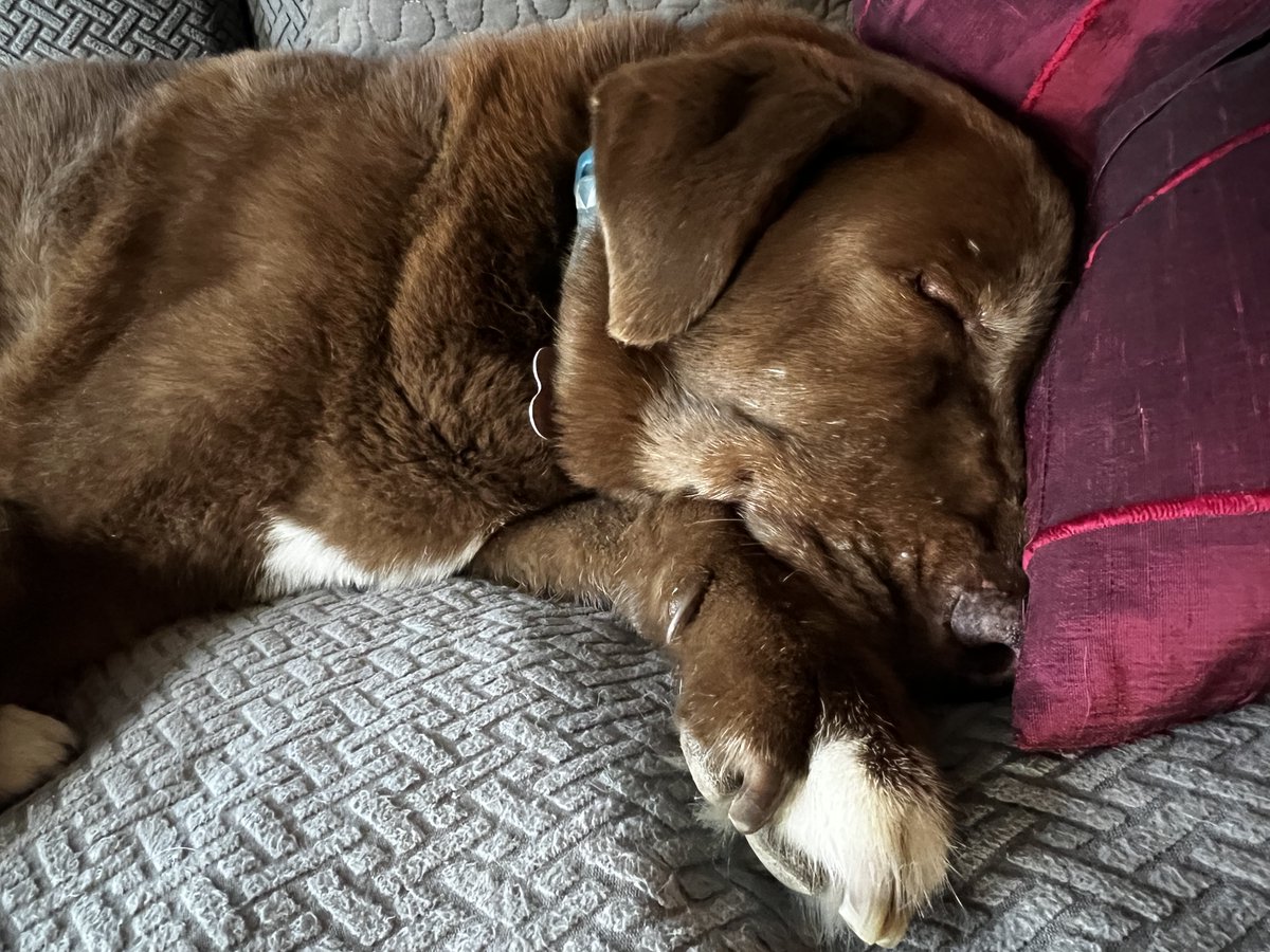 Jerome Lane (@jeromeclane) on Twitter photo 