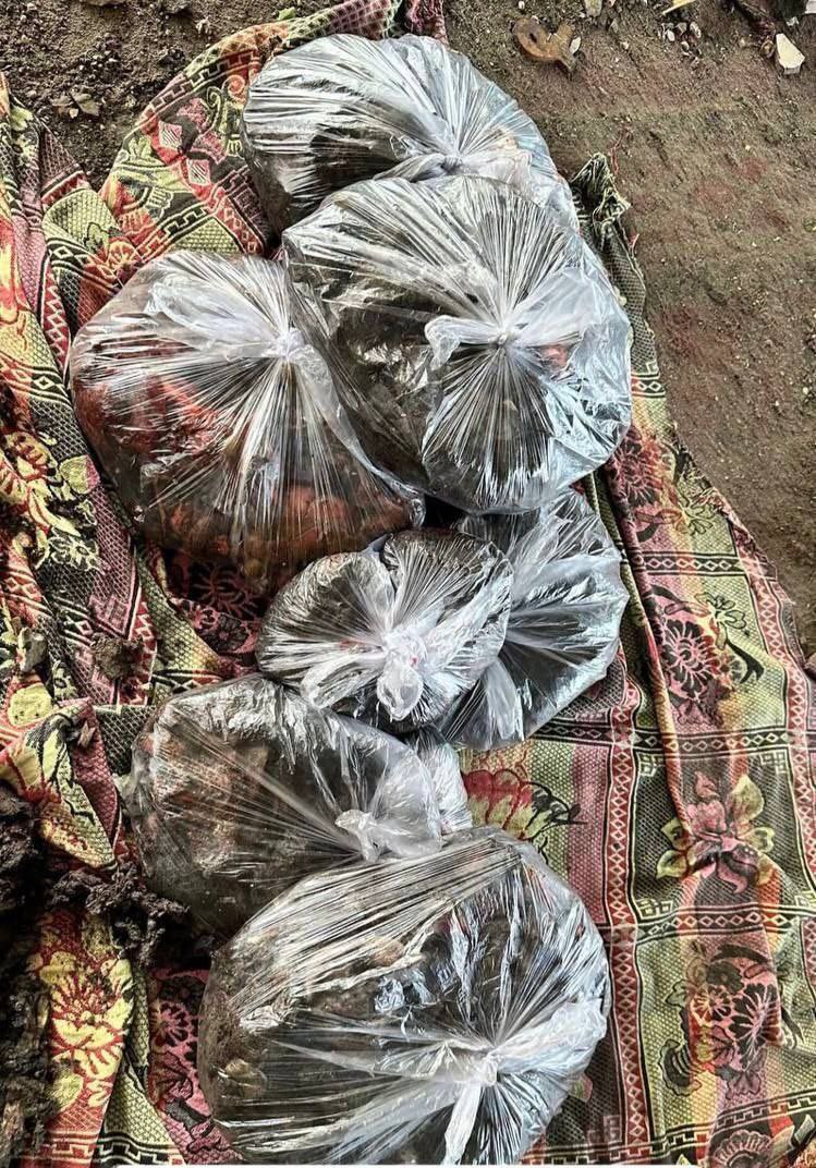 🔴 Gazze’den gelen bu fotoğrafta 6 kişiyi görüyorsunuz.

İsrail’in sabah namazı saatinde vurduğu okulda katledildiler. Bedenlerinden geriye bunlar kaldı ve poşetlenerek defnedildiler.