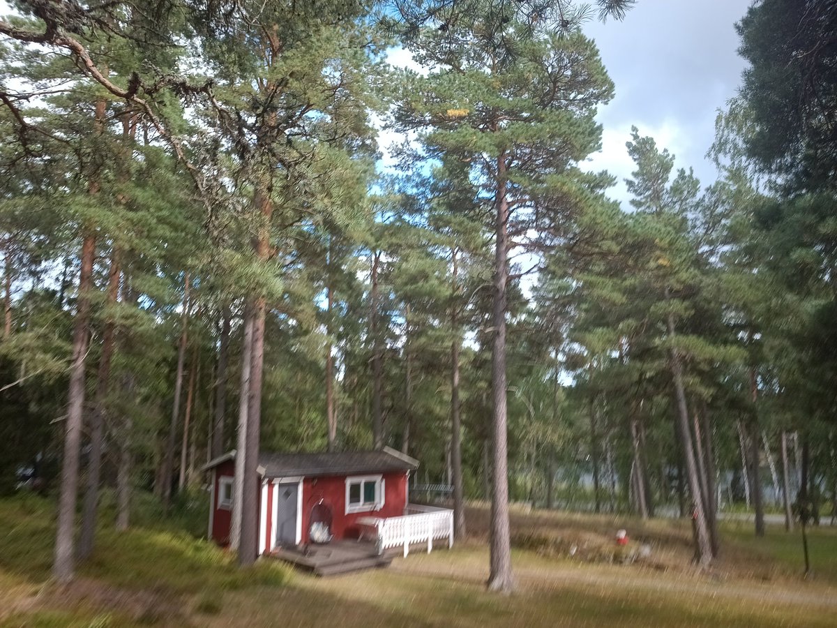 BooDanheim's tweet image. #SoftaOfta #evening #Värmdö ✌️💞😇🇸🇪🇪🇺🇺🇦🎶🏴‍☠️🌍💛❤️💙 #SlavaUkraïni #Lovemom 💜 #FuckRehab #Olympics 💯🌲🤩☀️💨⛈️🙏