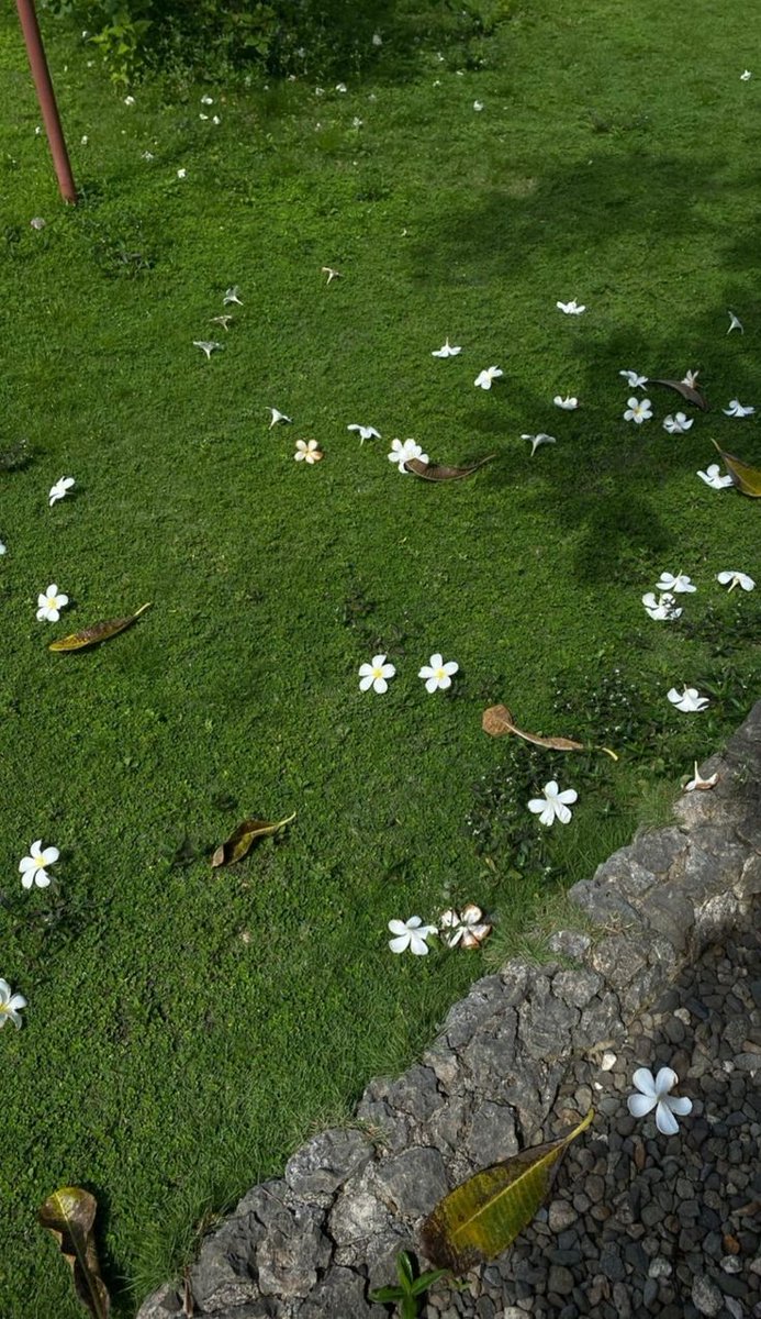 ْ𓍯 (@onlyyouforeveer) on Twitter photo 