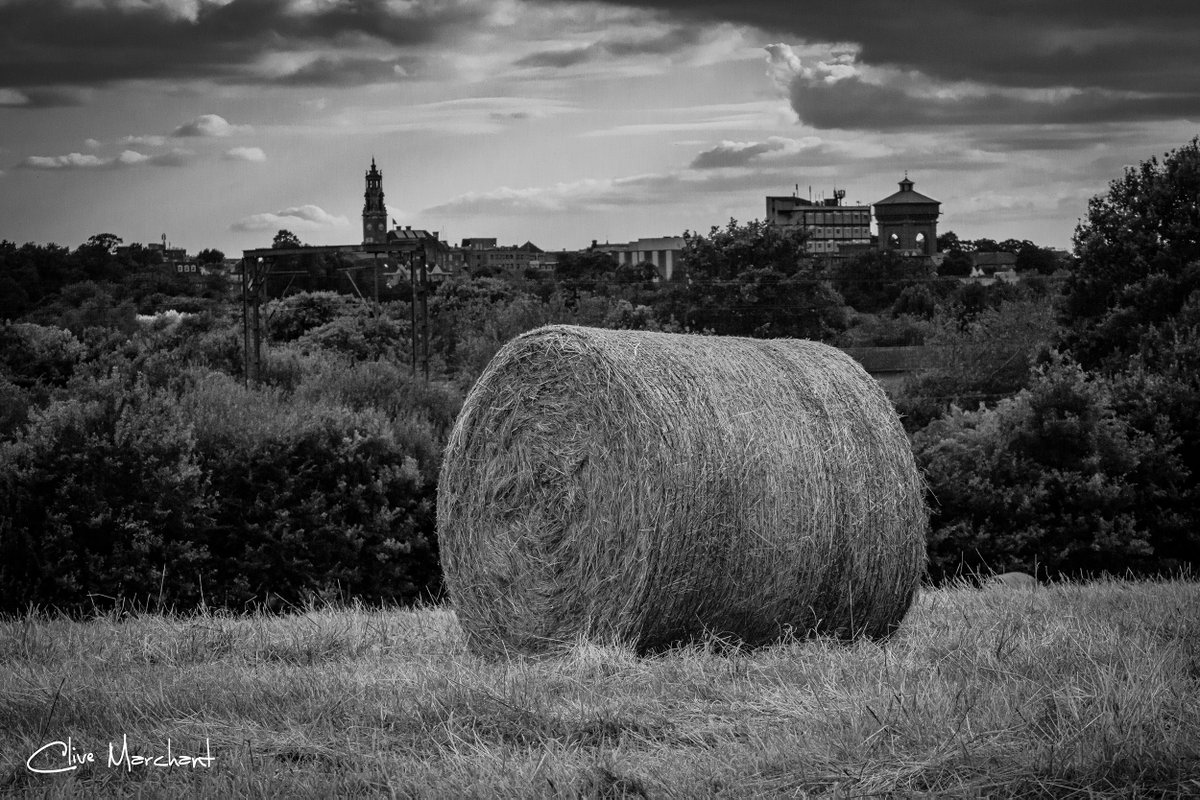 GridArt's tweet photo. Colchester City skyline on a August summer evening, captured from Highwoods Country Park Southern slope. Feeling like the countryside but only a few minutes walk from the city centre, just beautiful vibes.
@yourcolchester #HighwoodsCountryPark #ColchesterCity #ColchesterLife https://t.co/Ad6zf3fMOU