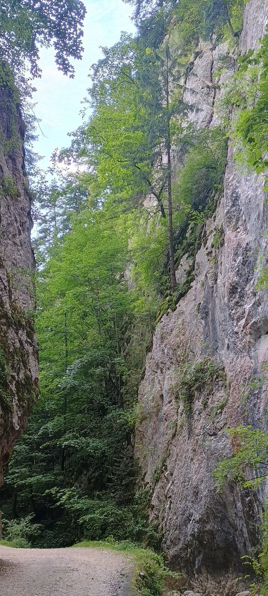 Incredible but utterly exhausting hike in the Carpathian Mountains today. Realised how woefully unfit I am but really enjoyed seeing things like this.