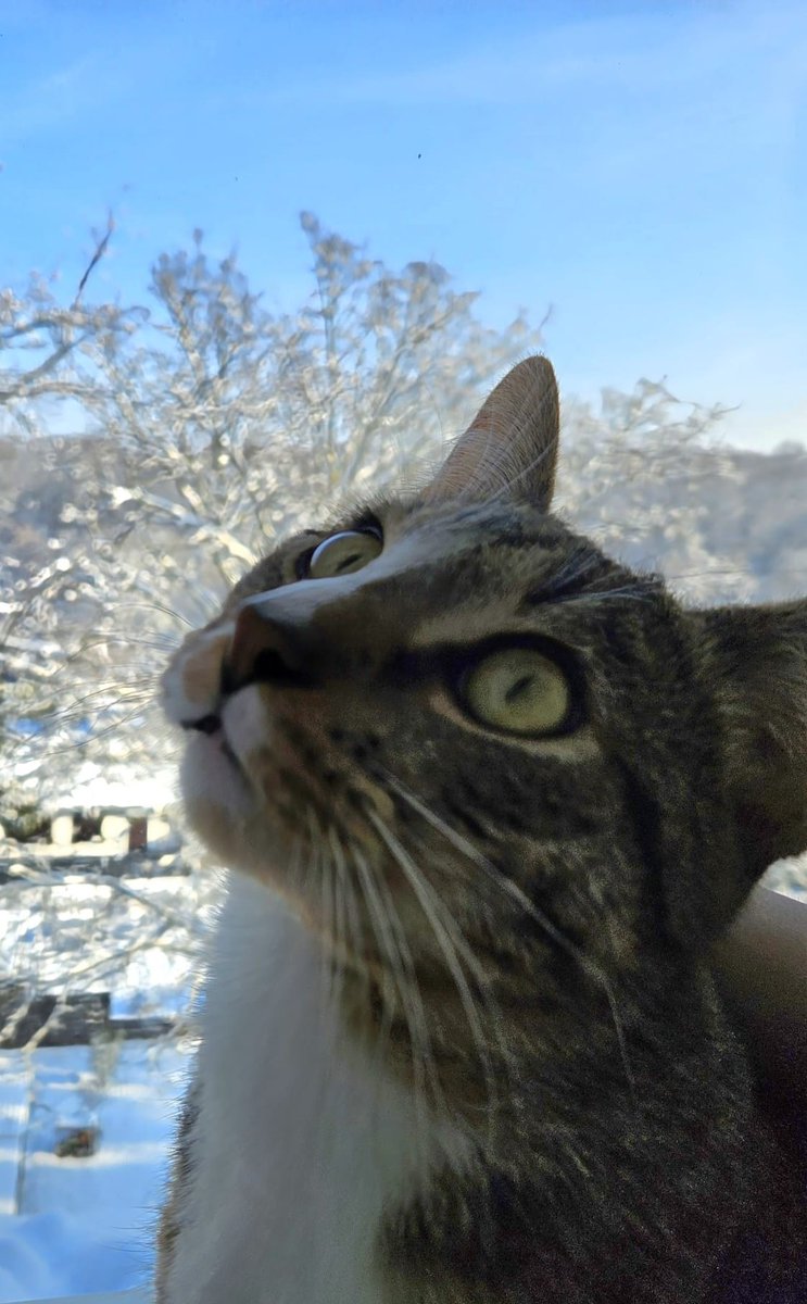 GatrexVT's tweet photo. Haben 100 Plakata für 55 Euro gedruckt, gehen gleich welche verteilen.

Danke an alle die uns unterstützen egal ob mir verbreitung oder anders. DANKE! 🫶

Hoffe das wir ihn bald finden 💔 https://t.co/UD8PCvETBH