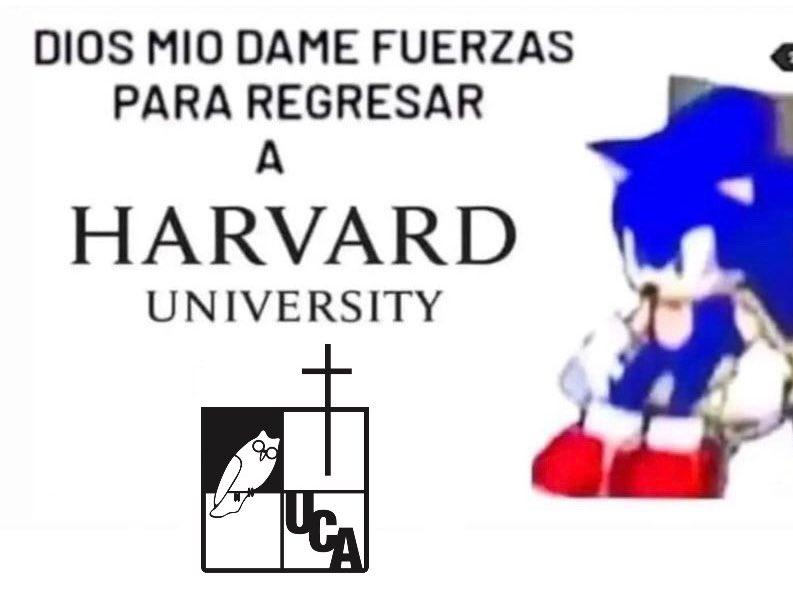 Estas vacaciones no duraron nada😔
