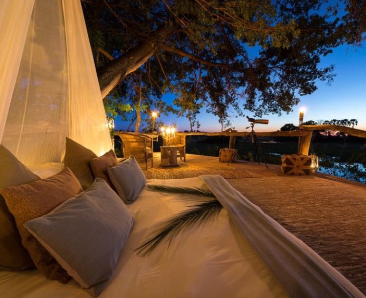 Q2Travel's tweet photo. You will find this wildly adventurous Starbed experience at Wilderness Tubu Tree Lodge, in one of Earth’s ultimate, untamed wilderness areas.  The ideal setting for the most exhilarating #wildlife encounters https://t.co/MhuOeU6l65 #Botswana https://t.co/bF7Uj6q8wh