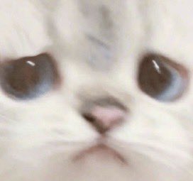 ATC Sepnie tweet media