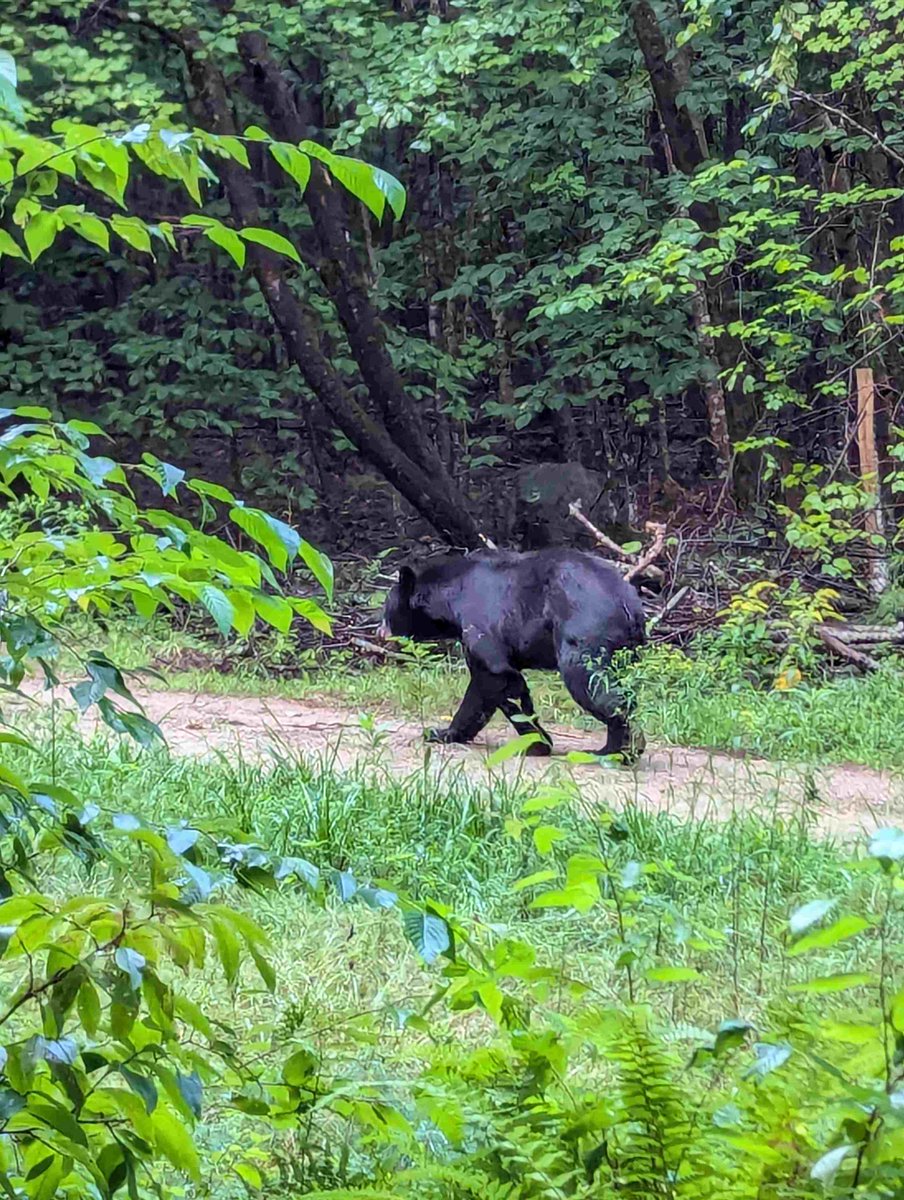 Never know who you will run into on a morning walk in the country.