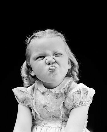 Meowshallah1's tweet image. I don't care it you lick windows, run into walls, or occasionally pee on yourself . You hang in there sunshine you're friggin special. 🤣😂🤣😂🤣