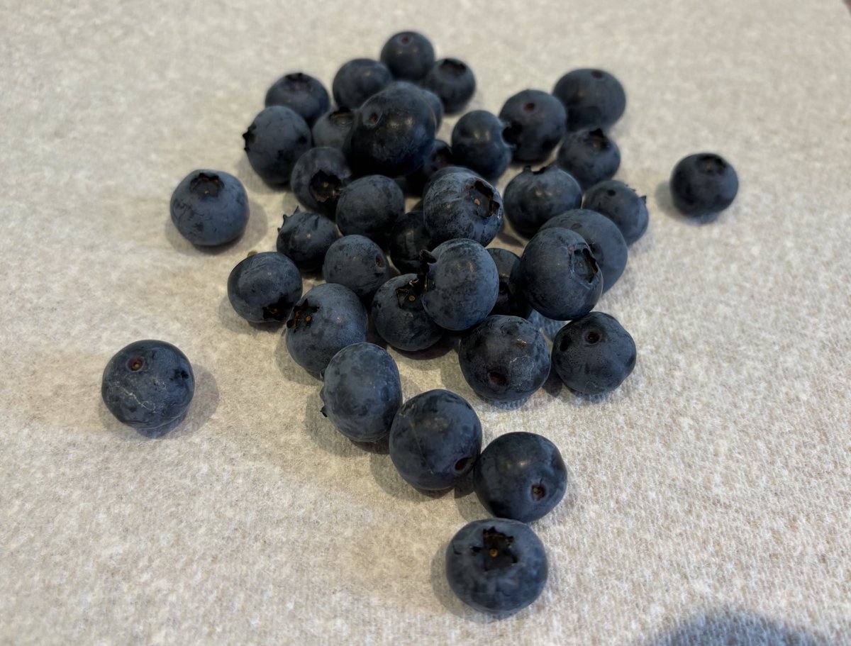 Bokarelli tweet media