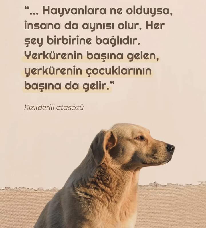 IdanElin's tweet photo. #Turkiyedekatliamvar https://t.co/gYP1jAbq6y