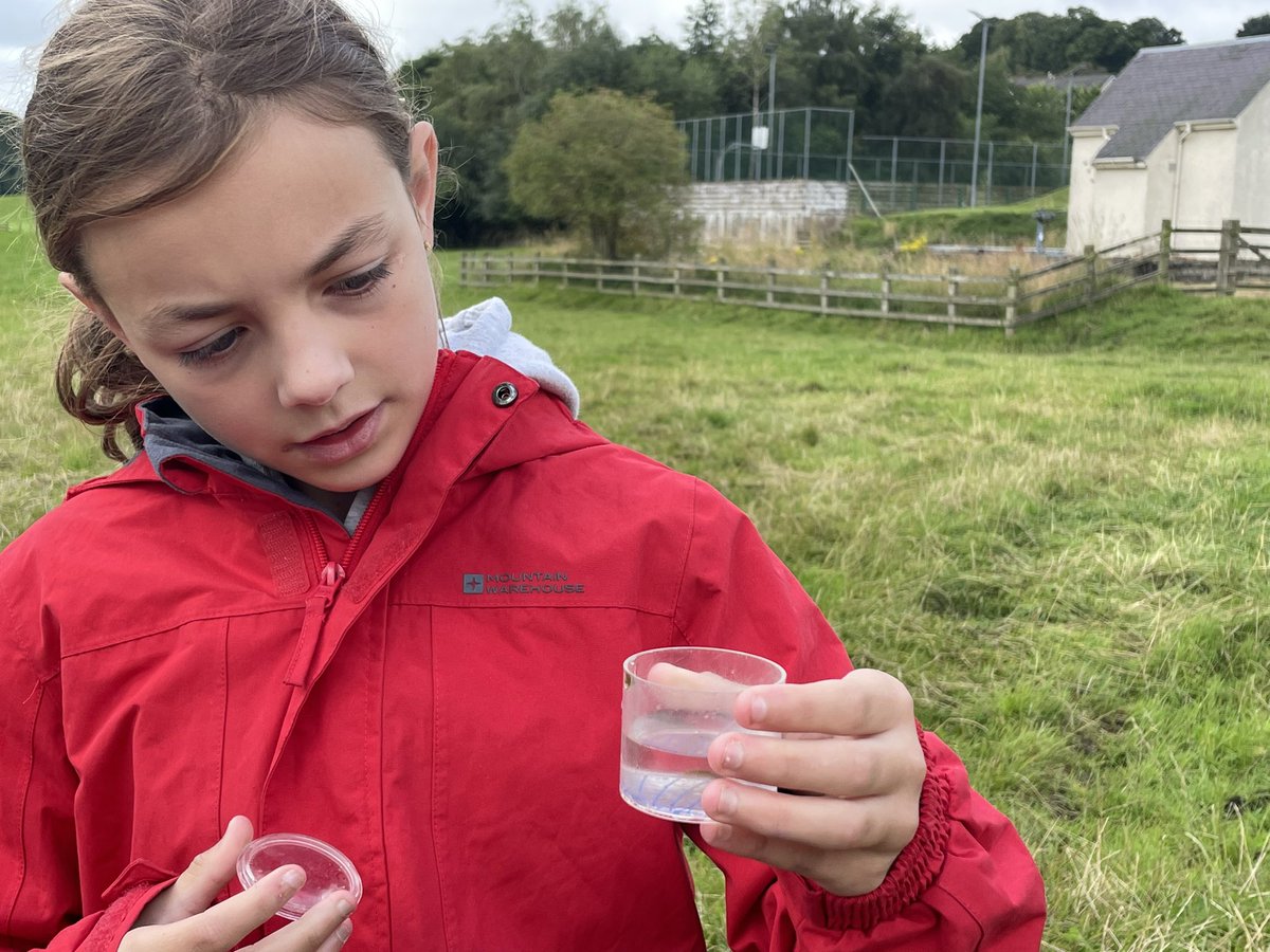 DisruptersStow's tweet photo. #DisrupterWeek Day5 saw us back out in the fields to learn about 2 very important aspects of our life in Stow & wider🌍 #LifeOnLand #LifeBelowWater
Thank you to the Lofthouses & Suzie(Tweed Foundation) for the informative & interactive sessions 🌍💚🧡
@EdScotLfS @LfSScotland https://t.co/SXB1t29dJh
