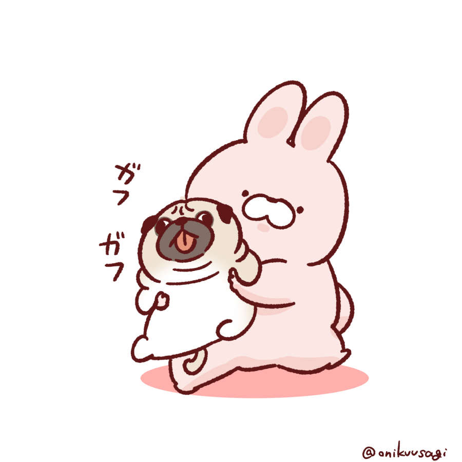パグも元気です 