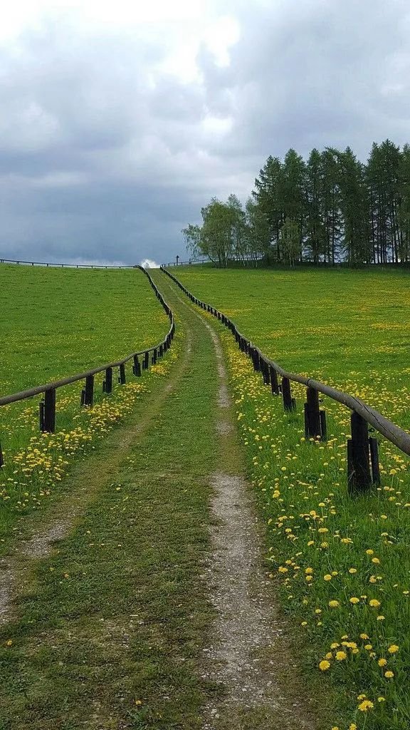 — a peaceful walk here